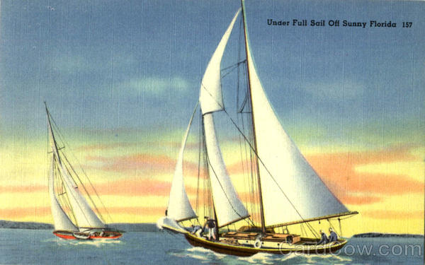 Under Full Sail Off Sunny Florida Scenic
