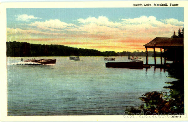 Caddo Lake Marshall Texas