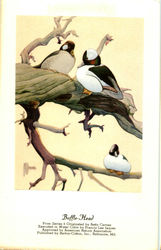 Stock #42349 Thumbnail