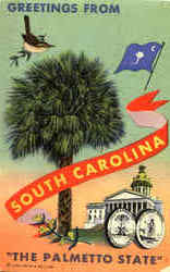 Greetings From South Carolina Postcard