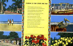 Florida Is The State For Fun Poems & Poets Postcard Postcard