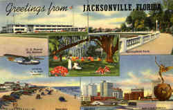 Greetings From Jacksonville Florida Postcard Postcard