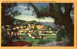Beautiful Homes In The Hollywood Hills Postcard