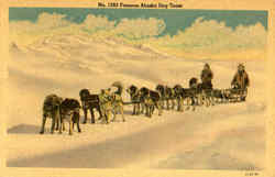 Famous Alaska Dog Team Postcard