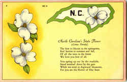 North Carolina's State Flower Scenic, NC Postcard Postcard