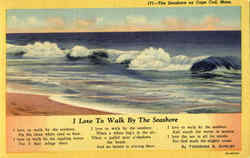 The Sea Shore On Cape Cod Postcard