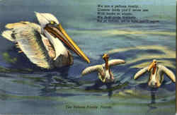 Stock #42823 Thumbnail