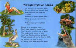 The Rare State Of Florida Scenic, FL Postcard Postcard