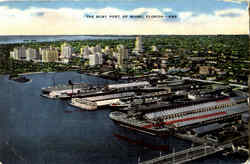 The Busy Pot Of Miami Florida Postcard Postcard