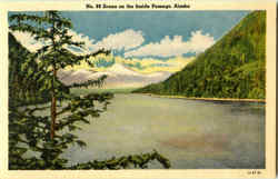 Scene On The Inside Passage Postcard