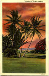 Moanalua Palms Scenic, HI Postcard Postcard