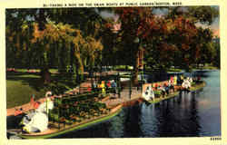 Taking A Ride On The Swan Boats, Public Garden Postcard