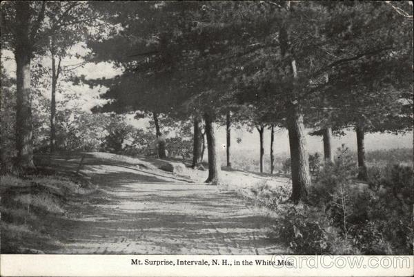 Mt. Surprise Intervale New Hampshire