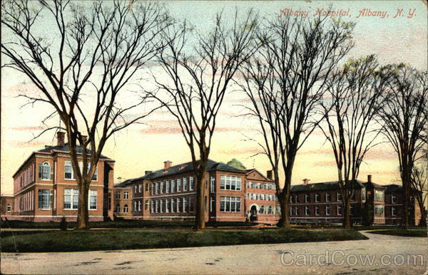 Albany Hospital New York