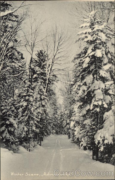 Winter Scene, Adirondacks New York