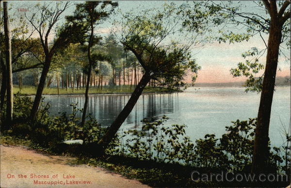 On the Shores of Lake Mascuppic, Lakeview Tyngsborough Massachusetts