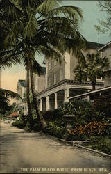 The Palm Beach Hotel Florida Postcard Postcard Postcard