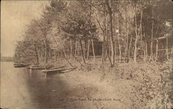 View of Hart Pond South Chelmsford, MA Postcard Postcard Postcard
