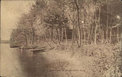 View of Hart Pond Postcard
