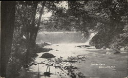 Lower Falls Postcard