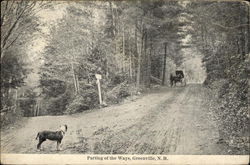 Parting of the Ways Postcard