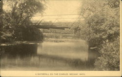 Waterfall on the Charles Postcard