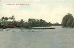 Scenic View of the Charles River West Medway, MA Postcard Postcard Postcard