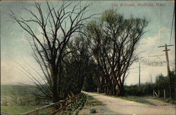 The Willows Medfield, MA Postcard Postcard Postcard