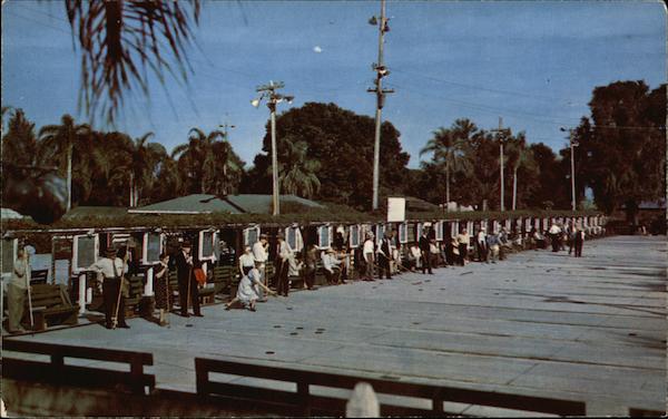 Shuffleboard Players Florida