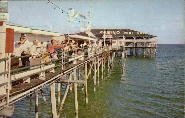 Feeding Gulls from Ocean Pier Old Orchard Beach Maine