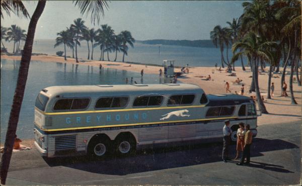 Greyhound Bus - Super Scenicruiser Buses