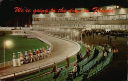 Dog Racing Florida Postcard Postcard Postcard