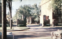 Campus Gate, Bowdowin College Postcard