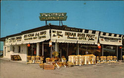 The Citrus Corner Postcard