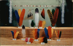 Mangrove Feather Co. Postcard