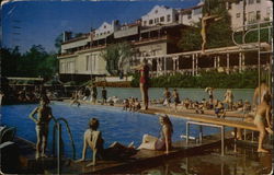 Beverly Hills Hotel Swimming Pool California Postcard Postcard Postcard