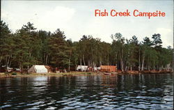 Fish Creek Public Campsite New York Postcard Postcard Postcard