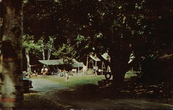 Camping at Selkirk Shores State Park Pulaski, NY Postcard Postcard Postcard