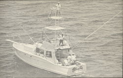 Bluefin Sport Fishing Charters Postcard