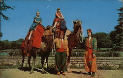 Camel Rides in Vilas Park Postcard