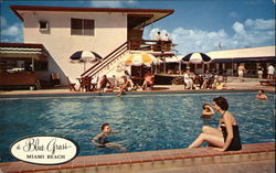 The Blue Grass Miami Beach, FL Postcard Postcard Postcard