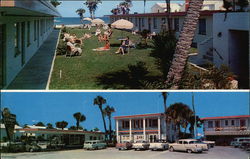 The Suncoast Beach Motel Daytona Beach, FL Postcard Postcard Postcard
