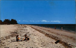 Children Shelling on Beach Postcard