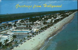 Greetings from Hollywood Florida Postcard Postcard Postcard