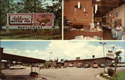 Ashburn Motor Inn Postcard