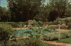 Plantation Hotel Courts Postcard