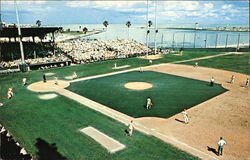 Al Lang Field St. Petersburg, FL Postcard Postcard Postcard