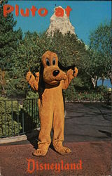 Pluto at Disneyland Postcard