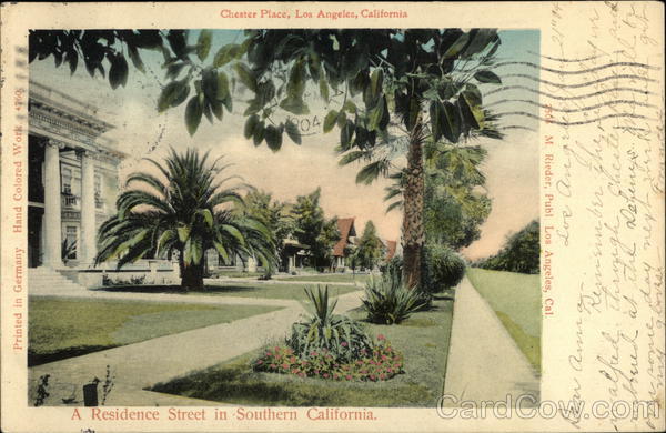Chester Place, A Residence Street in Southern California Los Angeles