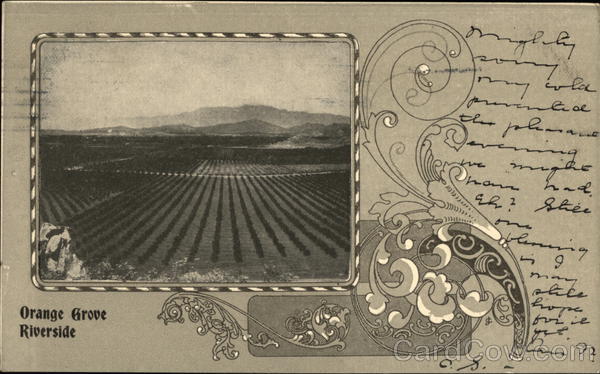 Orange Grove Riverside California